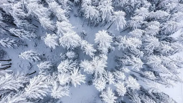 Winter Wallpaper Karácsonyi háttérkép