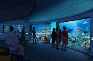 Élő Online akvárium a tenger legszebb halaival